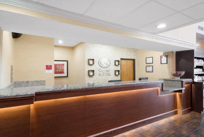 Quality Suites Irving-Las Colinas Bagian luar foto